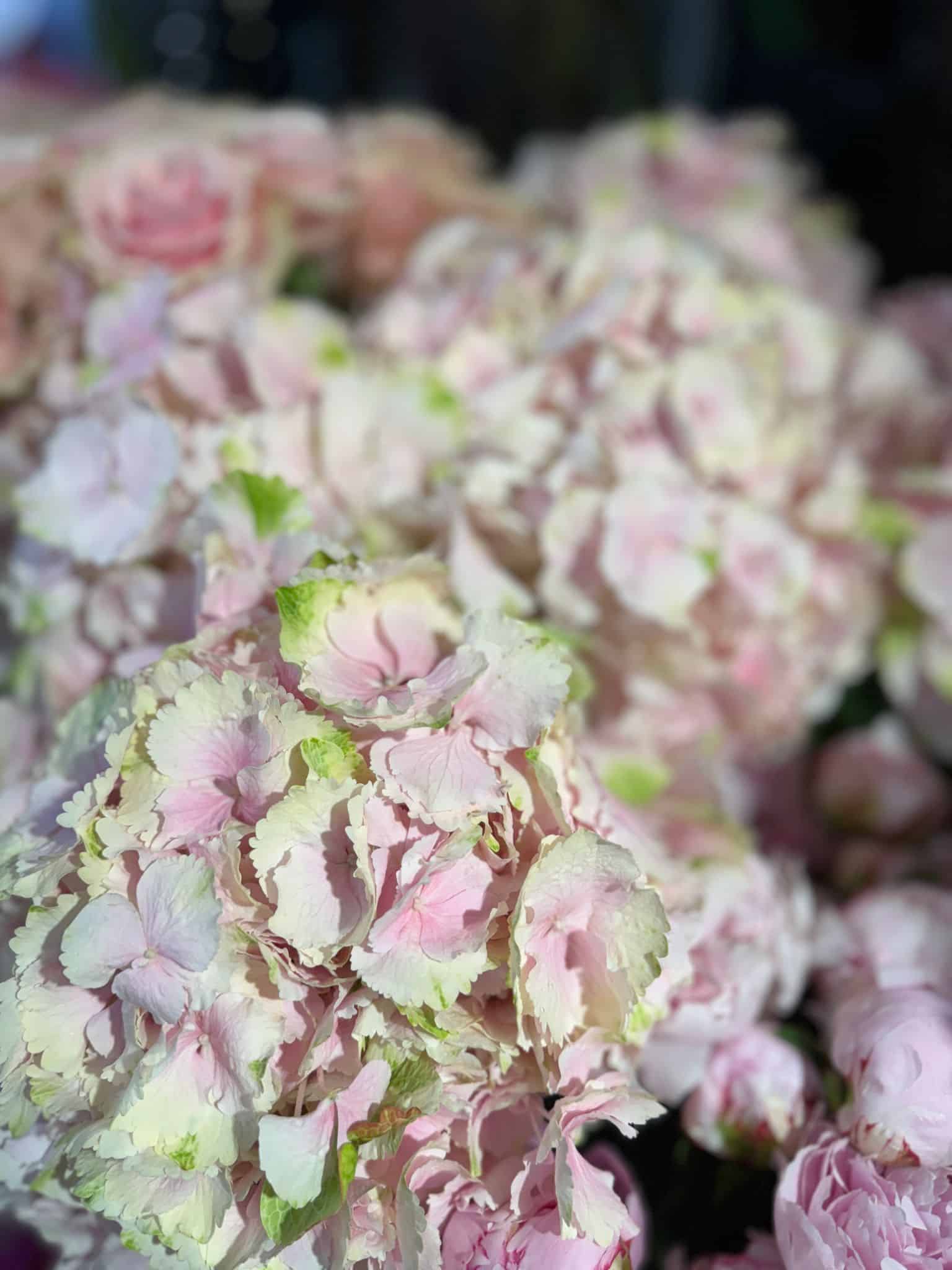 Florastyle Blumenstrauss4