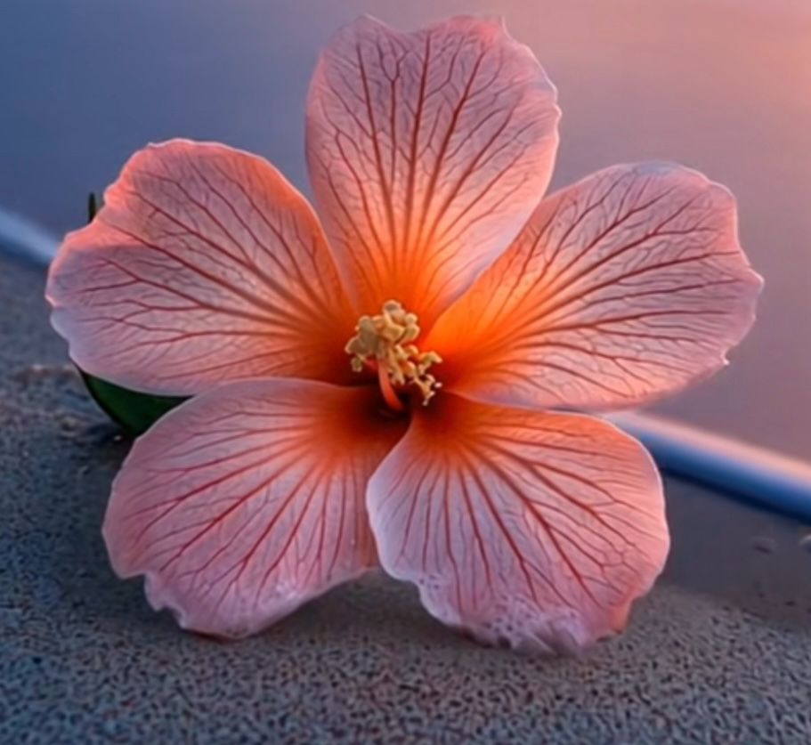 Florastyle Blumenstrauss6